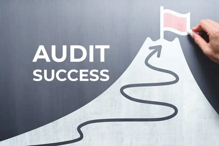 How to Maximize Their Success on an Audit min