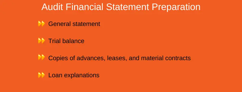 How to get an audited financial statement