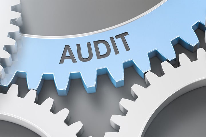 Professional Auditing Services in Dubai min 1