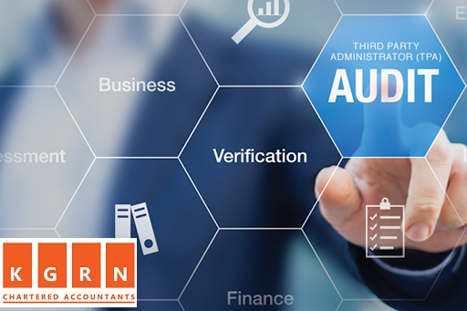 Professional Audit Services in Dubai