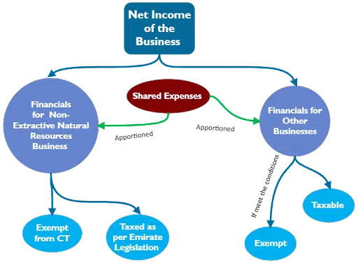 Non Extractive Business – CT Application Article
